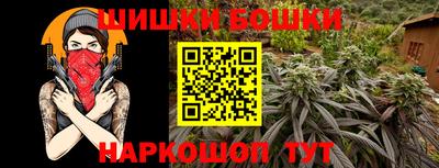 прущие грибы Тверь