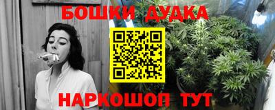 прущие грибы Тверь