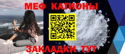 прущие грибы Тверь