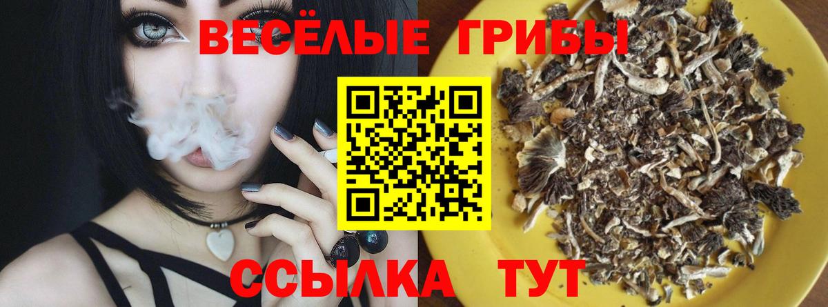 купить   Вход с VPN  Муравленко  Галлюциногенные грибы Magic Shrooms 