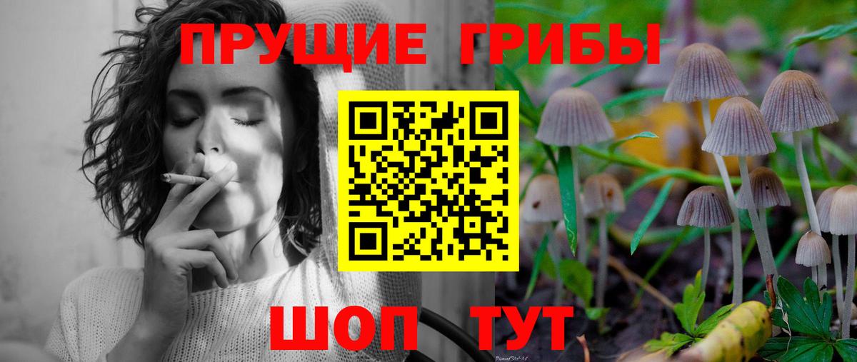 Галлюциногенные грибы Psilocybine cubensis Муравленко